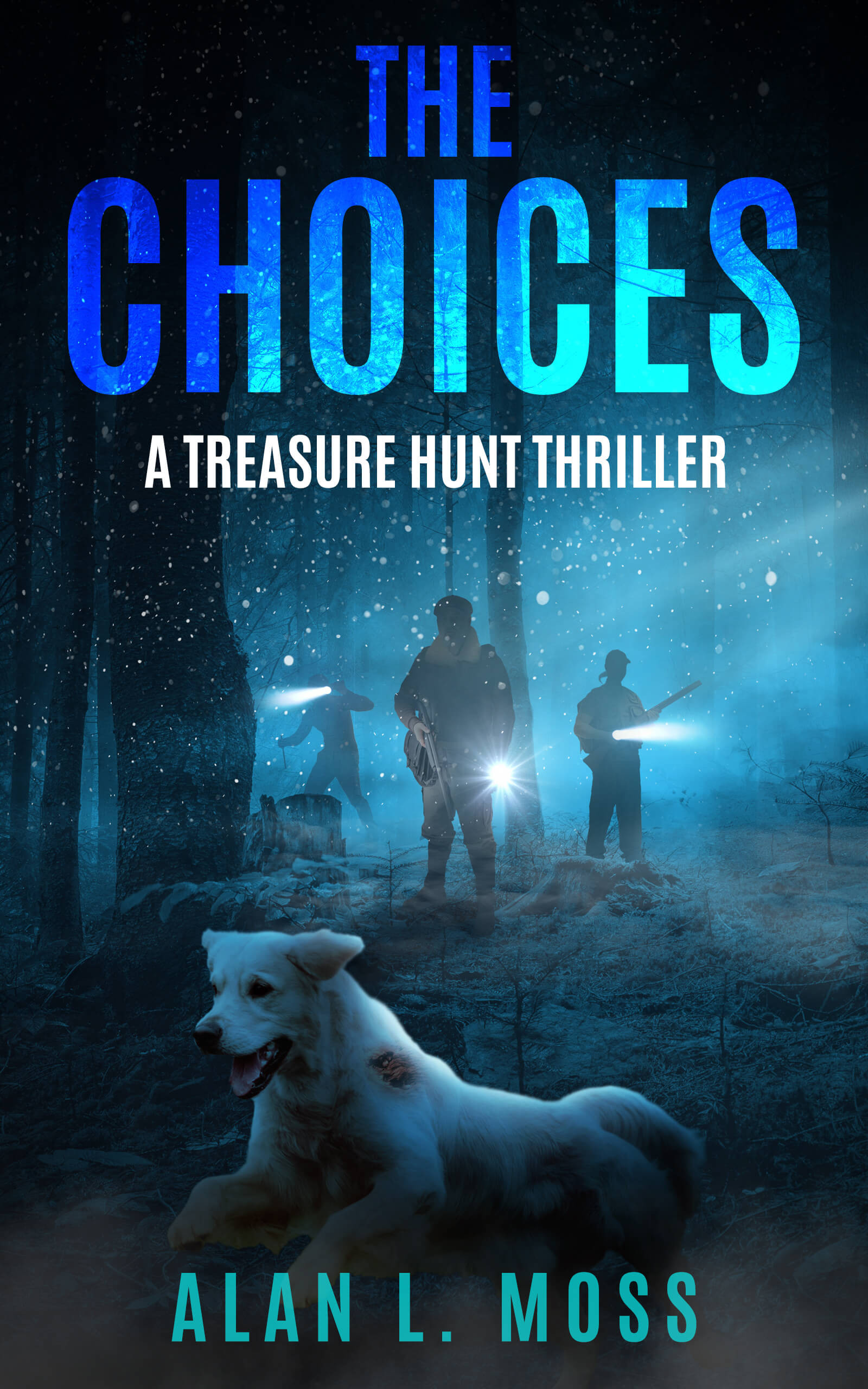 The Choices: A Treasure Hunt Thriller