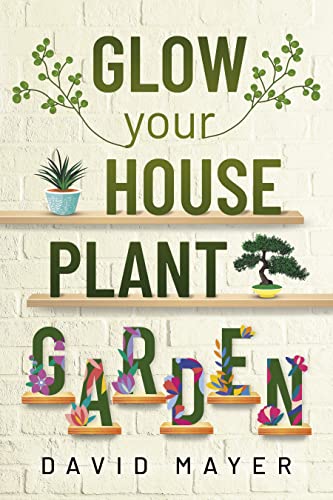Glow Your Houseplant Garden: The Step-By-Step Guide of Indoor Plant Care For Beginners