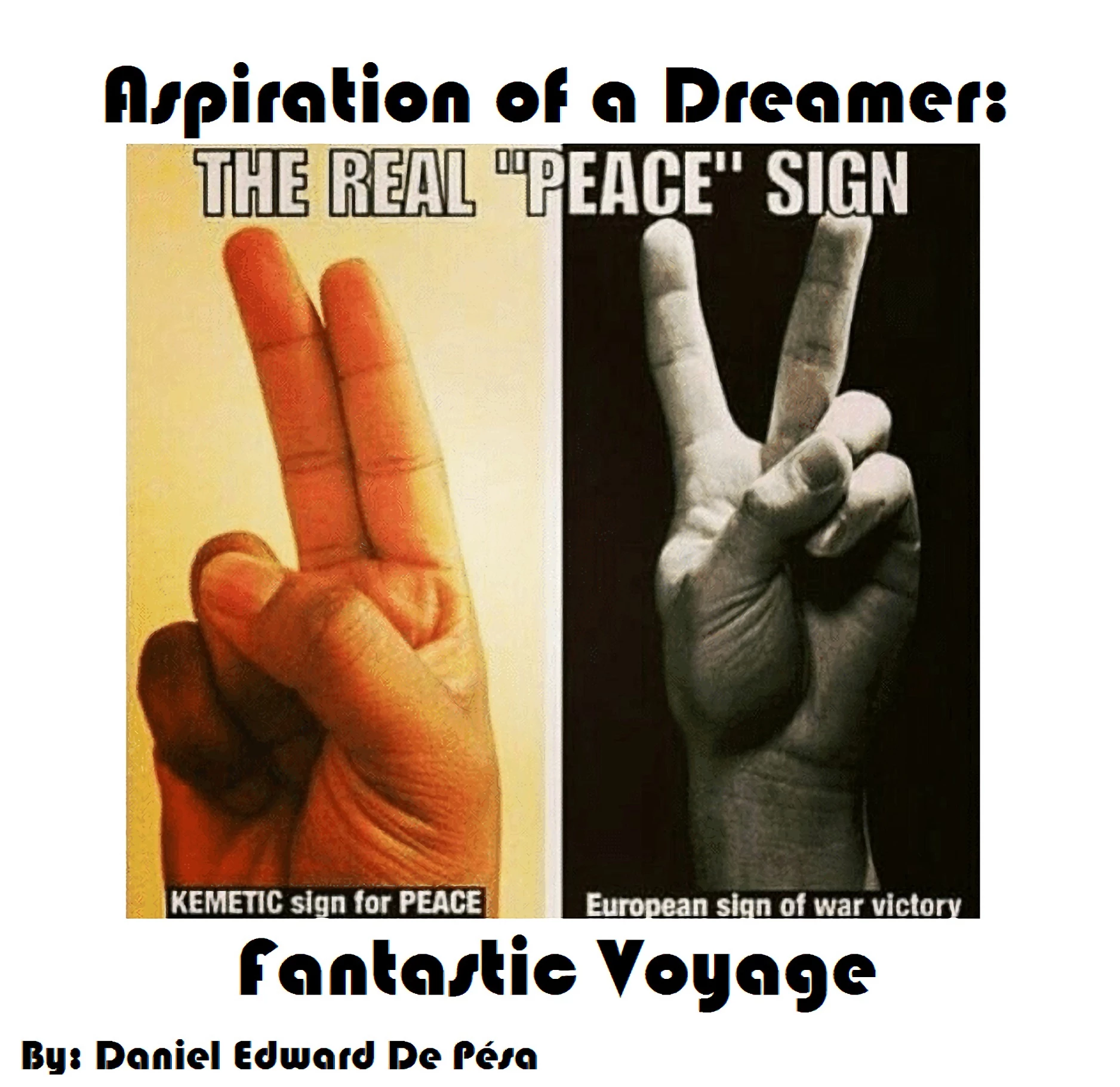 Aspiration of a Dreamer: Fantastic Voyage