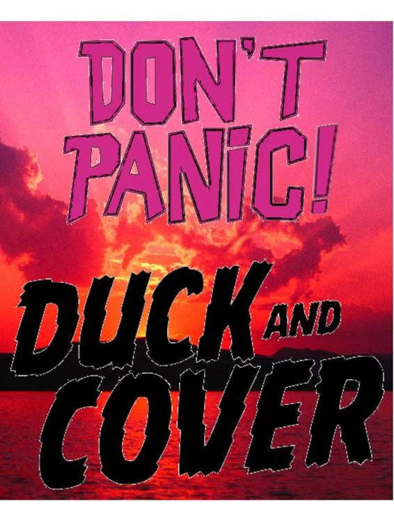 Dont Panic Duck and Cover…