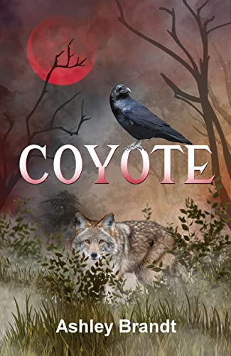 Coyote